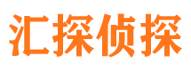 桃源寻人公司